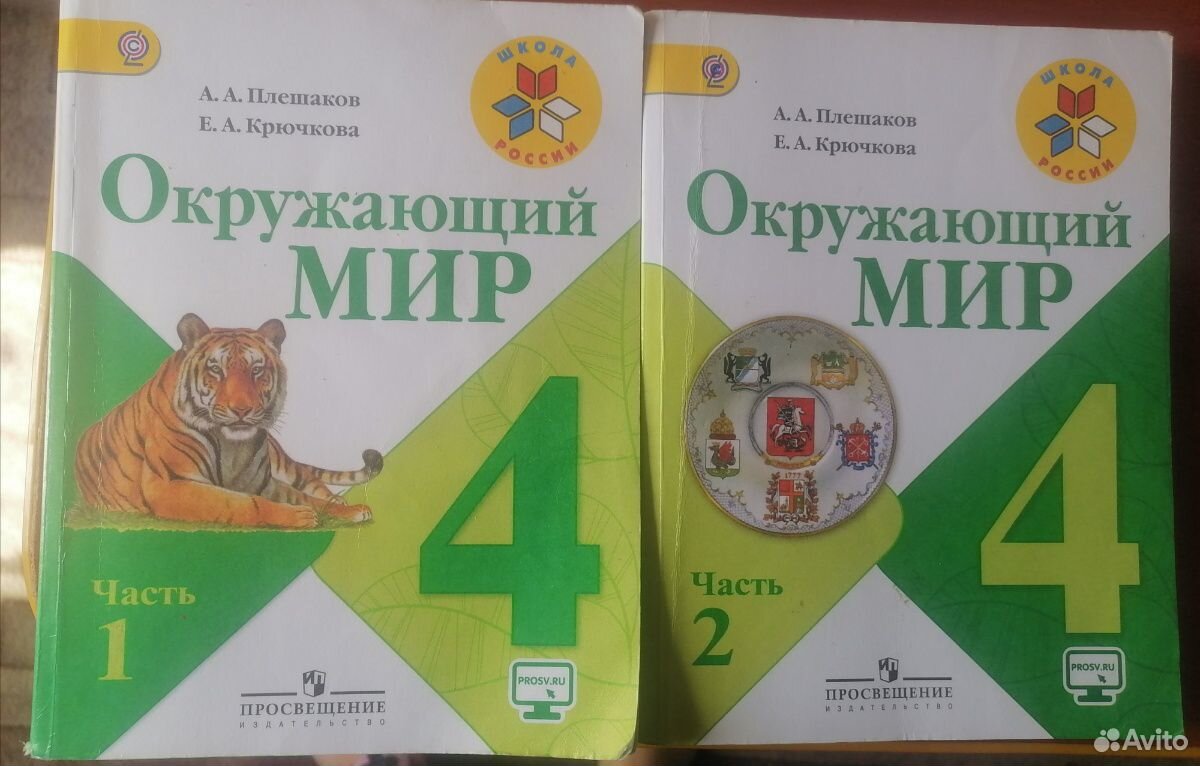 Читать учебники 5 класса плешакова. Учебник по окружающему миру. Учебник окружающий мир 4 класс школа России. Плешаков 4 класс учебник.