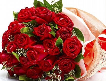 Розы, Букеты Цветы 25 51 151 201 501 101